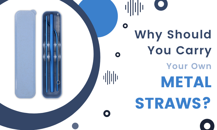 Why Should You Carry Your Own Metal Straws? - Forked Again